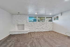 Basement living room
