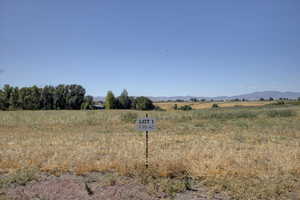 View of yard with a rural view and a mountain view