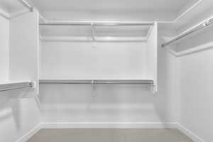 Walk in closet featuring carpet floors