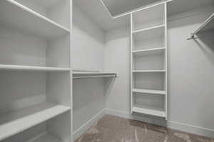 Spacious closet with light carpet