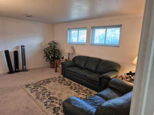 Living room featuring crown molding and carpet flooring
