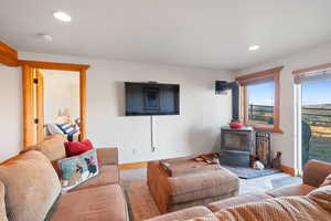 Carpeted living room featuring a wood stove and recessed lighting