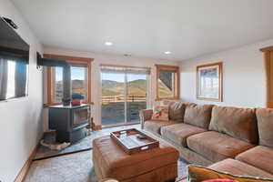 Living room featuring a wood stove and recessed lighting
