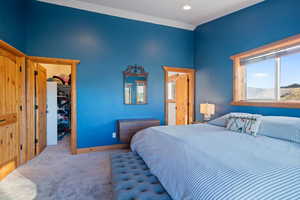 Bedroom with a walk in closet and carpet floors