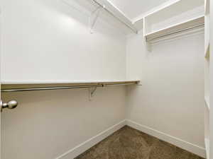 Spacious closet featuring dark colored carpet