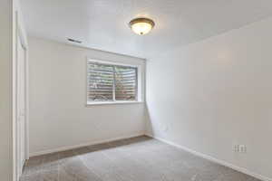 Unfurnished room featuring light carpet and a textured ceiling