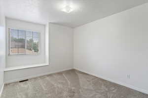 Empty room featuring a textured ceiling and light colored carpet