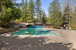 View of pool featuring a patio area and view of scattered trees