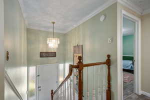 Foyer featuring ornamental molding, wood finished floors, a chandelier, and a textured ceiling