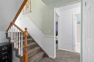 Stairway featuring carpet flooring and baseboards