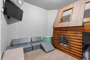 Living room featuring carpet