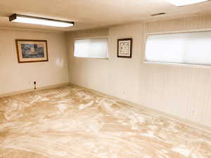 Downstairs Family Room