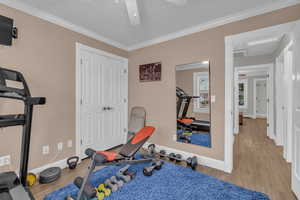 Workout room featuring crown molding, light wood-type flooring, and ceiling fan