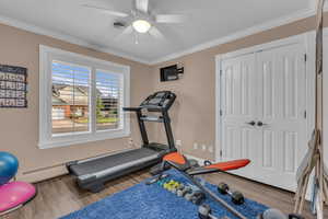Exercise room with ornamental molding, light wood-type flooring, and a ceiling fan