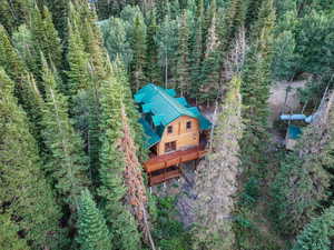 View from above of property with a heavily wooded area