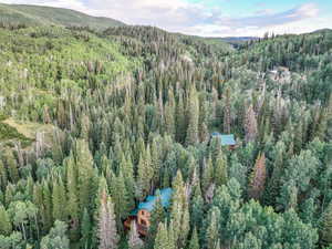 View from above of property with a heavily wooded area