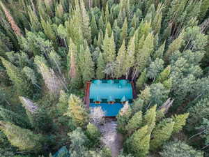Aerial view of a heavily wooded area