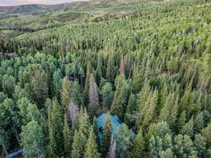 Aerial view of a heavily wooded area