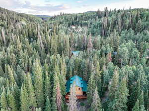 View from above of property with a heavily wooded area