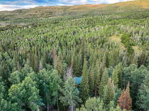 Bird's eye view of a heavily wooded area