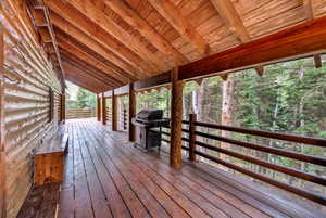Deck with a grill and a forest view