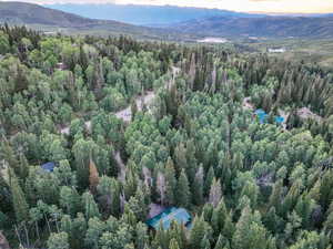 Aerial view of mountains and a heavily wooded area