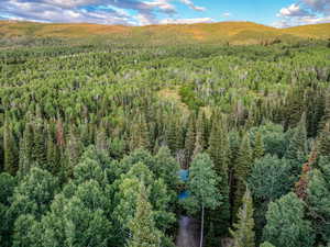 Bird's eye view of a mountain backdrop