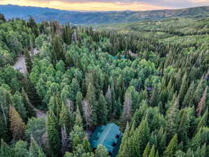 Bird's eye view of mountains and a forest