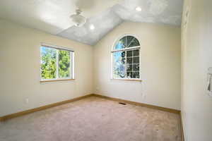 Carpeted spare room featuring healthy amount of natural light, lofted ceiling, and a textured ceiling