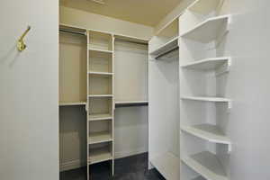 Spacious closet with dark colored carpet