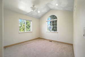 Unfurnished room featuring lofted ceiling, healthy amount of natural light, carpet flooring, and a textured ceiling