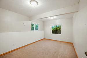 Carpeted empty room featuring a textured ceiling and plenty of natural light