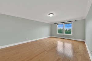 Spare room featuring ornamental molding and light wood-style floors