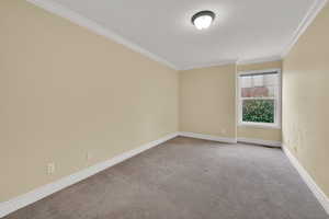 Carpeted spare room with crown molding and baseboards