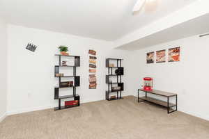 Misc room featuring light carpet and baseboards