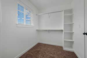 Walk in closet with dark colored carpet