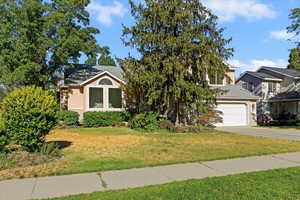 Obstructed view of property with concrete driveway, a front lawn, and stucco siding