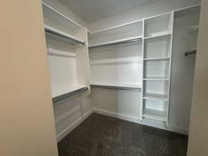 Spacious closet with dark carpet