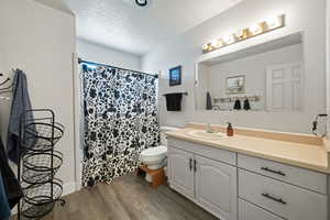 Bathroom with a textured ceiling, vanity, dark wood-style floors, and a shower with curtain