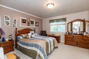 Bedroom with light carpet