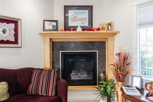 Detailed view of a glass covered fireplace