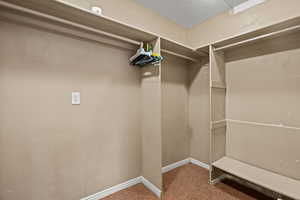 Spacious closet featuring carpet floors