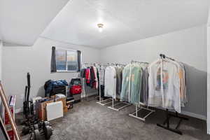 Spacious closet with carpet floors