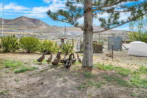 View of yard with a mountain view