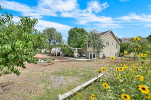View of yard with a patio