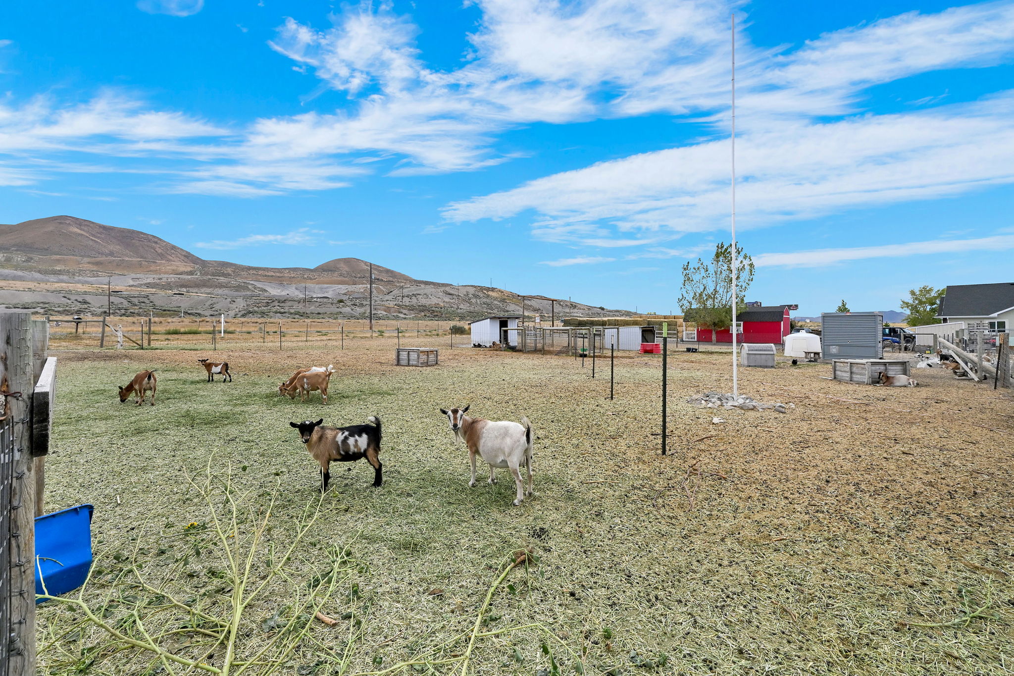 View of yard featuring a mountain view and a rural view