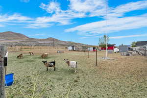 View of yard featuring a mountain view and a rural view