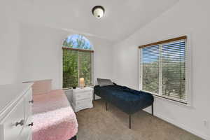 Bedroom with lofted ceiling, light colored carpet, and multiple windows