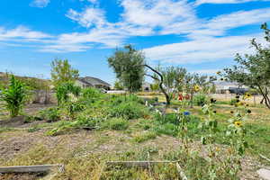 View of yard featuring a vegetable garden