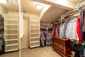Walk in closet with light colored carpet